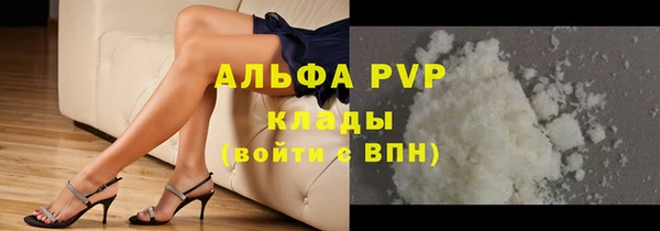 стафф Приозерск