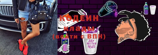 шишки Билибино